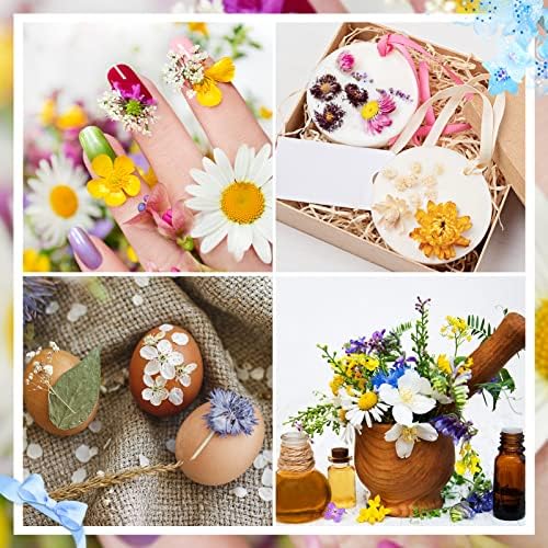 QINREN Real Dried Flowers Leaves, Natural Dried Flowers and Tweezers Set Mixed Artificial Everlasting Flowers for Making Greeting Cards DIY Phone Shell Candle Resin Jewelry Pendant(Blue)