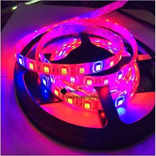 KTM Healthcare® R5B1, 11-15W : 5 M 5050 M/roll 60led/m 12VDC Plant Growing Tira, a prueba de agua luz led de efecto invernadero para el USO al aire Libre, roja franja Azul 4:1, 5:1, 7:1, 8:1