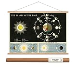 Cavallini Papers Phases of The Moon Vintage Style Decorative Poster & Hanger Kit, 20