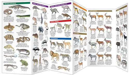 Image of South Africa Wildlife: A Folding Pocket Guide to Familiar Animals (Pocket Naturalist Guide)
