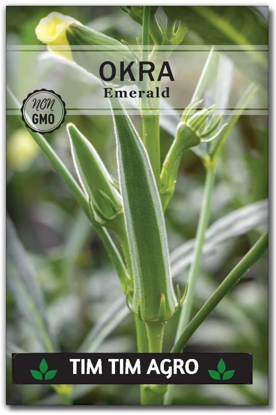 500g Bhindi Seeds Packet |Okra Seeds for Home Garden, Farming | Vegetable Seeds for Sowing & Planting (B0CS45SYDH) Amazon Price History, Amazon Price Tracker