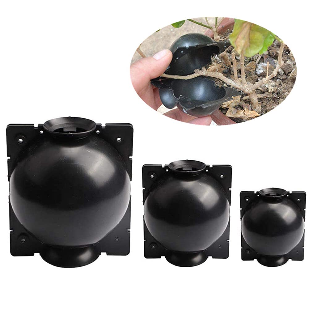 Confezione da 6 scatole per radici, scatola ad alta pressione per innesto di piante a sfera, dispositivo di taglio adatto per innesto da giardino, radicamento, allevamento (piccolo)