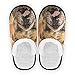 PUXUQU - Pantofole da donna con bulldog inglese, per casa, per camera da letto, per donne, uomini e bambini, uso interno da viaggio, (Multicolore), 39/46 EU
