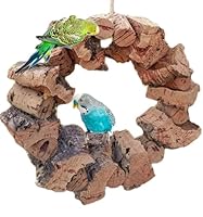 Vogelschaukel, großer Korkring mit viel Korkrinde zum schaukeln und knabbern für alle Vögel