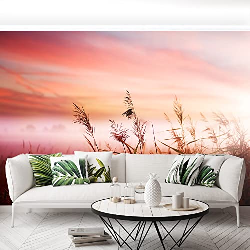 Papier Peint Camouflage Tulup 416x254cm transformez facilement un mur blanc et terne