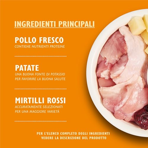 Lily's Kitchen Con ingredienti naturali Cibo secco per gatti adulti Sacco Ricetta senza cereali al pollo con verdure 2kg - 2