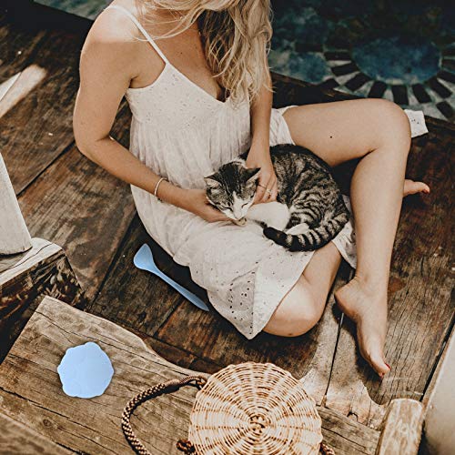 Tampa de lata para gatos de estimação, colher de alimentação com tampa vedante universal (tampa azul