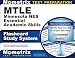 MTLE Minnesota NES Essential Academic Skills Flashcard Study System: MTLE Test Practice Questions & Exam Review for the Minnesota Teacher Licensure Examinations (Cards)