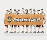 DREAMIN'～ガッタスブリリャンチスH.P.の応援歌～ 歌詞