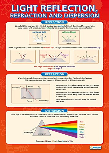 Light Reflection | Science Posters | Gloss Paper Measuring 33” x 23.5” | STEM Charts for The Classroom | Education Charts by Daydream Education