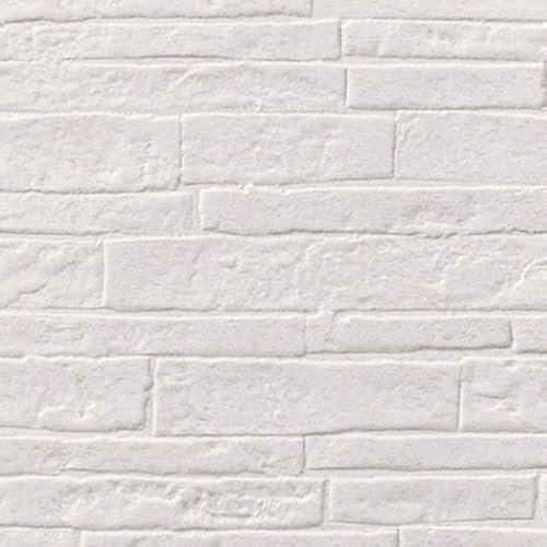 y30mpbNz TQc SP9780̂tǎ/Ђ ʎYNX (SP2872 j [t ^C[N-SP9780-30] SP 2023-2025