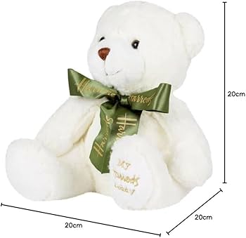 51d3kZa25KL._AC_UF350,