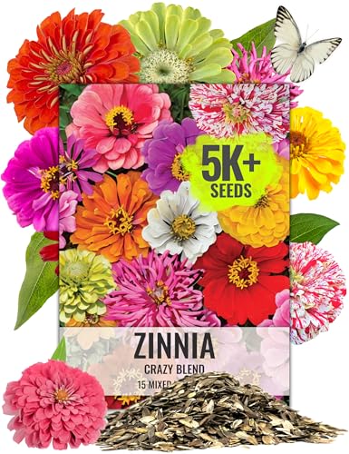 Seed Needs Crazy Zinnia Seeds 15+ Varieties Specialty Blend |
