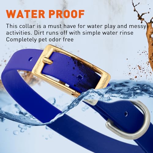 Image of Viper Biothane Heavy Duty Waterproof Dog Collar Strong Coated Nylon Webbing w /Solid Brass Hardware Odor-Proof Easy to Clean High Performance Fits Small Medium or Large Dogs, Blueberry Royal