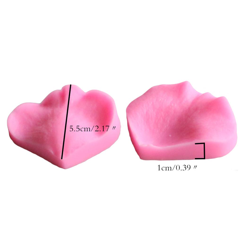 Musykrafties Scheda Per Venature Fiori In Gumpaste - Strumento Per Modellazione - 25x14 Cm - 3