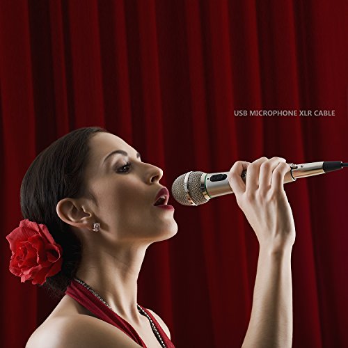 Newbep Usb Microphone Cable, 3 Pin Usb Male To Xlr Female Mic Link Converter Cable Studio Audio Cable Connector Cords Adapter For Microphones Or Recording Karaoke Sing,3M(Usb Microphone Cable) #TOP1