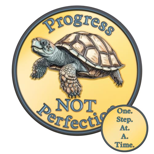 affirmation sobriety coin  inspirational aa chip medallion  perfect sobriety gifts for sober men amp women in recovery  sober gifts for anniversary month or year  3d turtle design