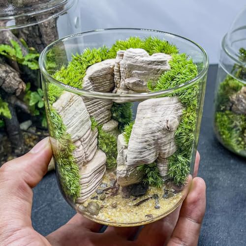 Image of Natural Rocks Pagoda Stones 1-2.5 Inches Decorative Rocks for Fairy Gardens,Miniature Landscaping,Bonsai,DIY Crafts, Aquariums & Reptile Terrariums-2lb