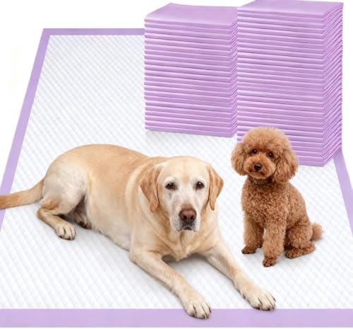 Image of Gimars XL 6-Layer Ultra Absorbent 1200ml 48-Hour Leak-Proof Dog Pee Pads, Quick Dry Extra Large Puppy Pads for Puppy Training, Senior & Incontinent Dogs, Cats, Overnight Use, 30 inchx36 inch, 50 Count
