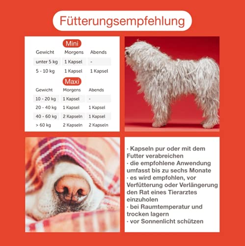 CaniMove Cardio Maxi - tierärztliches Ergänzungsfutter für große Hunde zur Unterstützung von Herz, Blutdruck und Kreislauf, 1 Packung (100 Kapseln)