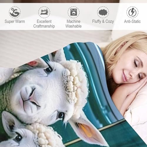 Manta de franela de oveja extrasuave de 180 x 200 cm para cama y sofá 6