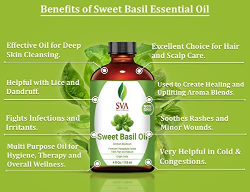Sva Sweet Basil Oil 4 Oz - 100% Pure, Natural, Premium Therapeutic Grade For Healthy Skin, Nourished Hair, Deep Body Massage, Diffuser & Aromatherapy #TOP2