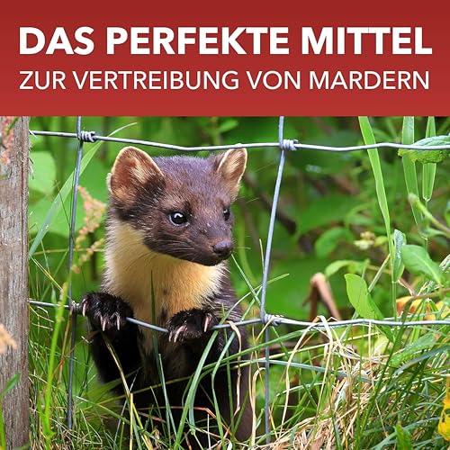 BIODELTA LTK-008 Anti Marder Spray 500 ml - Marderschreck - Marderabwehr mit Langzeitwirkung - Marderschutz - Vertreibt Marder ohne zu schaden - Blumenduft- fleckenfrei