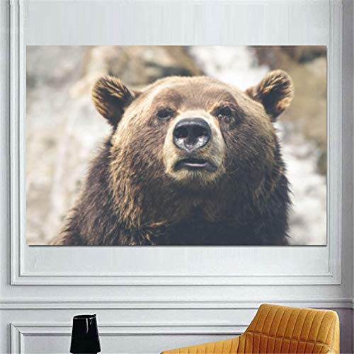 Affiche ours brun pour habiller un grand mur vide de chambre d enfant