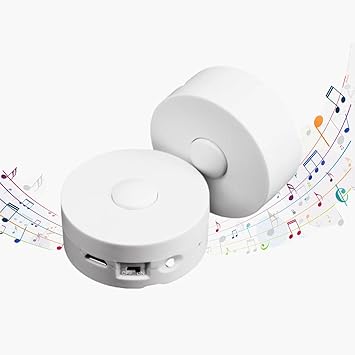 XLW Voice Recorder,16Min Voice Recording Button for Stuffed Animals, Bear,Crafts Pillow.16MB Record Custom Messages for Xmas Halloween New Year Birthday Creative DIY Present 2P White