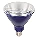 Westinghouse Flood Outdoor Weatherproof LED Light Bulb with Medium Base