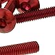 Vicma Fairing Screws hex Socket Head - Anodized Aluminum red - Set of 6 pcs - M5x20