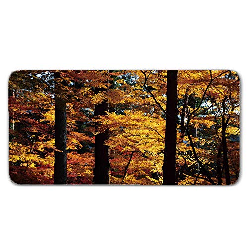 Alfombras De Pasillo Bosque de arce soleado Largas Moquetas Largo Entrada Felpudos Patrón 3D Anti-desvanecimiento Anti-Sucio Aplicar para Ventana De Bahia Dormitorio Sala Lavable Cortable 50x80cm