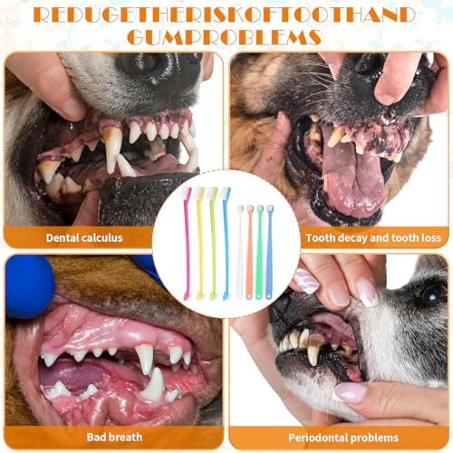 Tyqour 8 Stück Kleine Hund Zahnbürste Klein Weiche Hundezahnbürste für Kleine Hunde Katzen Zahnbürste Mini Tragbar Haustier Katzen Katzenzahnbürste für Katzen Hund Welpen Kätzchen Kleinen Rassen