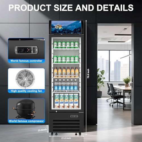 Commercial Beverage Refrigerator 1 Glass Door, 8.8 Cu.ft Commercial Upright Display Merchandiser Refrigerator, Beverage Cooler with LED Light, Lock Wheels, Adjustable Shelf for Bar, Shop - Image 7