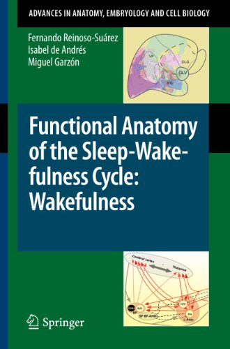Functional Anatomy of the Sleep-Wake-fulness Cycle: Wakefulness (Advances in Anatomy, Embryology and Cell Biology)