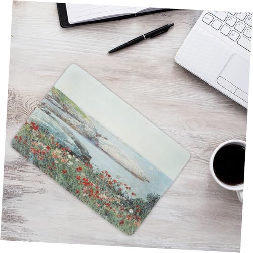 Housse rigide ordinateur portable antichoc, coque de protection pour notebook et PC transportable.