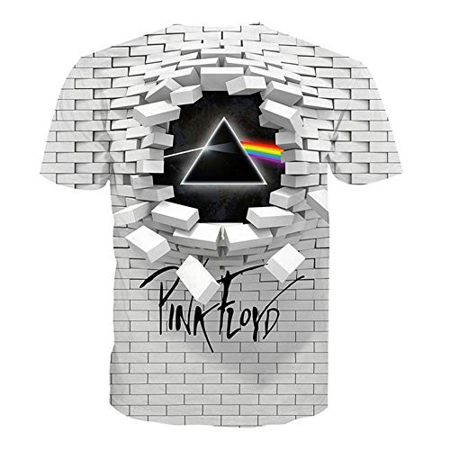 Unisex T-Shirts Creative Wall Pink Floyd 3D Printed Round Neck Loose Short-Sleeved Large Size Shirt XXS-6XL (2XL, 01)