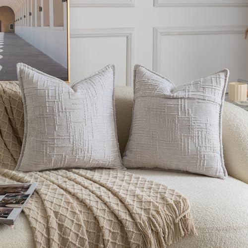 Image of MADIZZ Pack of 2 Chenille Throw Pillow Covers 24x24 Inch Light Grey Soft Neutral Decorative Throw Pillows for Couch Sofa Boho Accent Cushion Covers Modern Farmhouse Home Decor for Bedroom Living Room