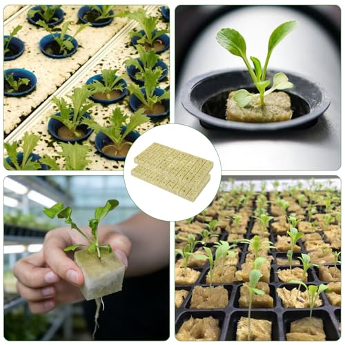 GOSHIES Steinwolle Anzucht 200 Stück Steinwolle Würfel 25x25x25 mm Rockwool Cube Anzuchtwürfel Stecklinge Anzucht für Stecklinge Anbau von Sämling Gemüse