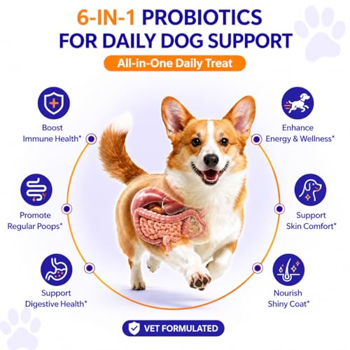 Image of PETSAPIENS Pre + Probiotic Supplement for Dogs (120g) | 10B CFU | Boosts Gut Health & Immunity | Gluten-Free | Vet Formulated | Prevents Scratching, Paw-Licking & Indigestion | Chicken Flavour