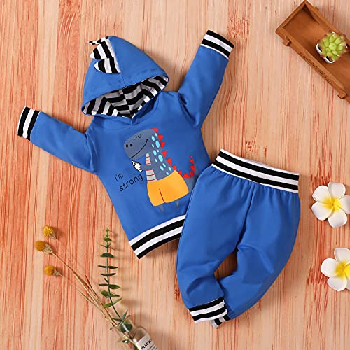 Toddler Infant Baby Boy Girls Clothes Hoodie Fall Winter Sweatsuit Pants Gender Neutral Long Sleeve Outfit Set #TOP1