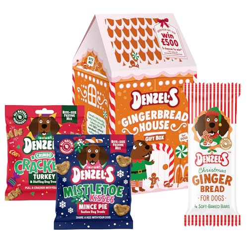 Denzel’s Christmas Dog treats - Gingerbread House Gift Box for Dogs (140g)
