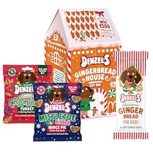 Denzel’s Christmas Dog treats – Gingerbread House Gift Box for Dogs (140g)