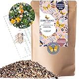 Schmetterlingswiese I 100 g I Blumenmischung für 100 m² I Blumenwiese Samen mehrjährig und einjährig I Wildblumensamen für Schmetterlinge und Bienen I Wiesenblumen Samen ideal als Bienenwiese