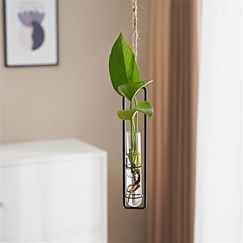 Amazon.co.jp: 吊り下げ式試験管花瓶 花瓶 ミニ花器 北欧風