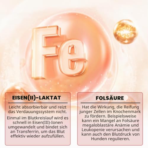 Flüssiges Eisen Ergänzungen Für Hunde,Liquii Eisen Tropfen Mit Folat Vc Und B12,Unterstützt Anämie,Niedrige Enerie-Spiegel Und Lethargie,Fördert Blutgesundheit,Bildung Von Roten Blutkörperchen-2 Fl.Oz