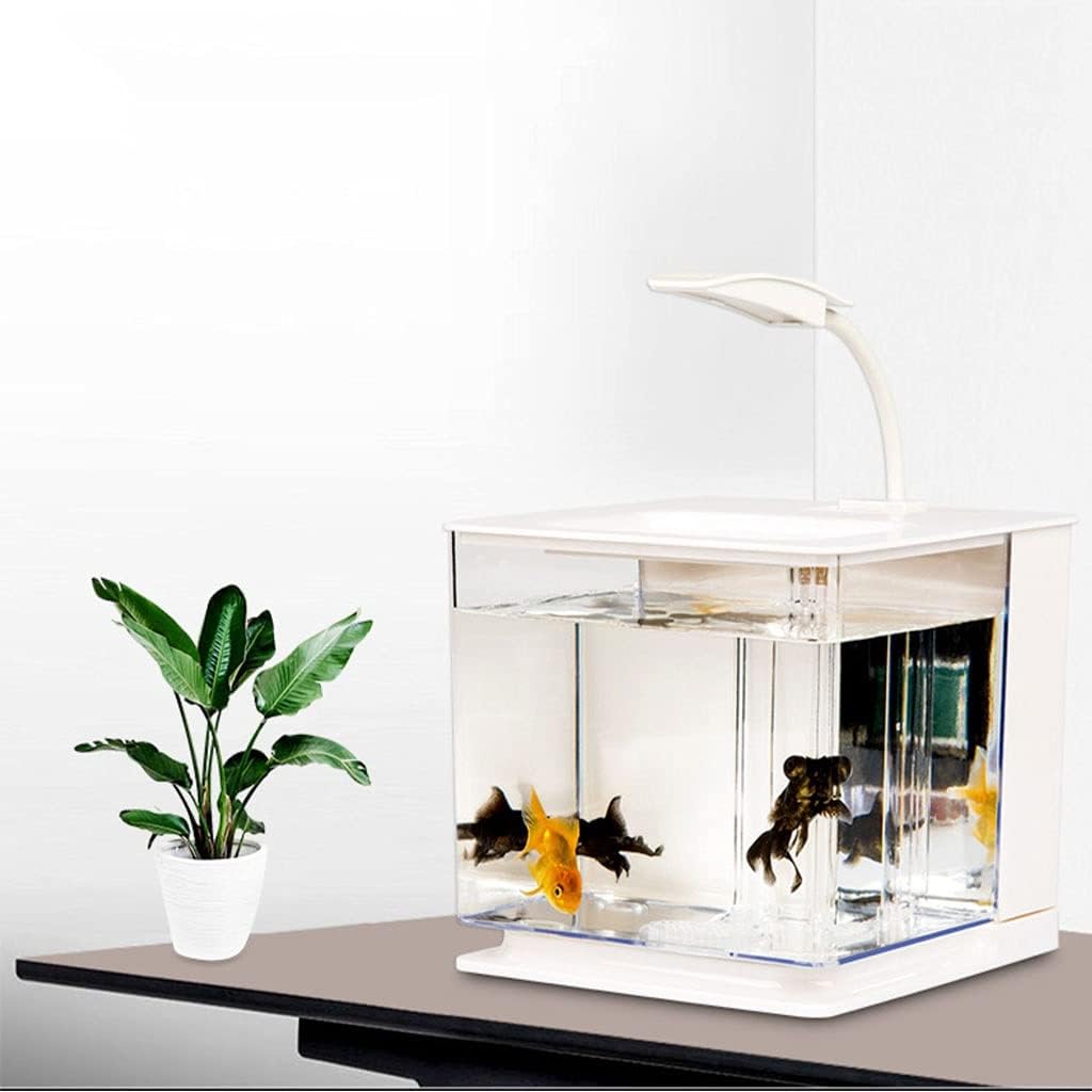 Fish Tank Desktop Creative Fish Tank Led Light Small Goldfish Fighting Fish Tank Without Water Change Decoration Ornamental Fish Tank Aquarium Tank (Color : Gold)