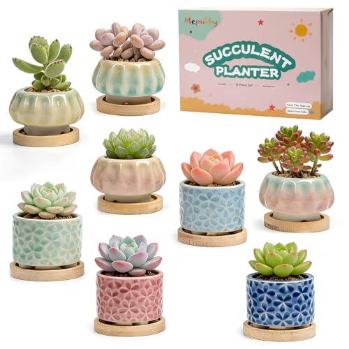 8 Pcs Succulent Pots with Ice Crack Glaze 2 Shapes & 8 Colors Ceramic Succulent Planters with Drainage Holes & Bamboo Saucers Indoor Plant Pots for Home GardenDesk Decor Office Decor Gift Idea