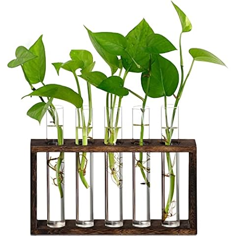 XXXFLOWER Wall Hanging Terrarium Planter with 5 Test Tubes,Wall Planters for Indoor Plants,Plant Lover Gifts for Women Garden Office Decoration Cover