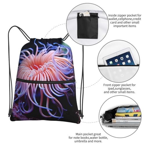 Drawstring Backpack Waterproof Draw String Bag Gym Drawstring Bags Sea Animals Swim Bag for Men Women4